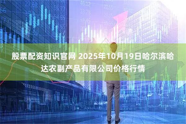 股票配资知识官网 2025年10月19日哈尔滨哈达农副产品有限公司价格行情